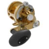 Avet MXL G2 5.8 MC Single Speed Reel Gold