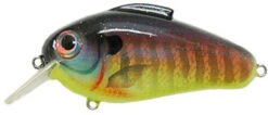 Bill Lewis Echo 1.75 Squarebill Crankbaits