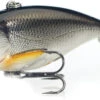 LIVETARGET Lures Golden Shiner Lipless Rattlebait