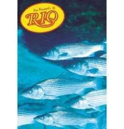 Rio Striped Bass Knotless 7ft Leader 13.2lb